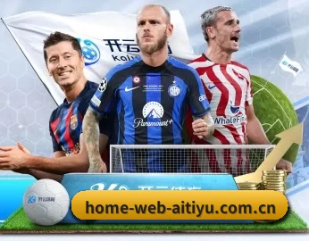 home-web-aitiyu.com.cn的故事